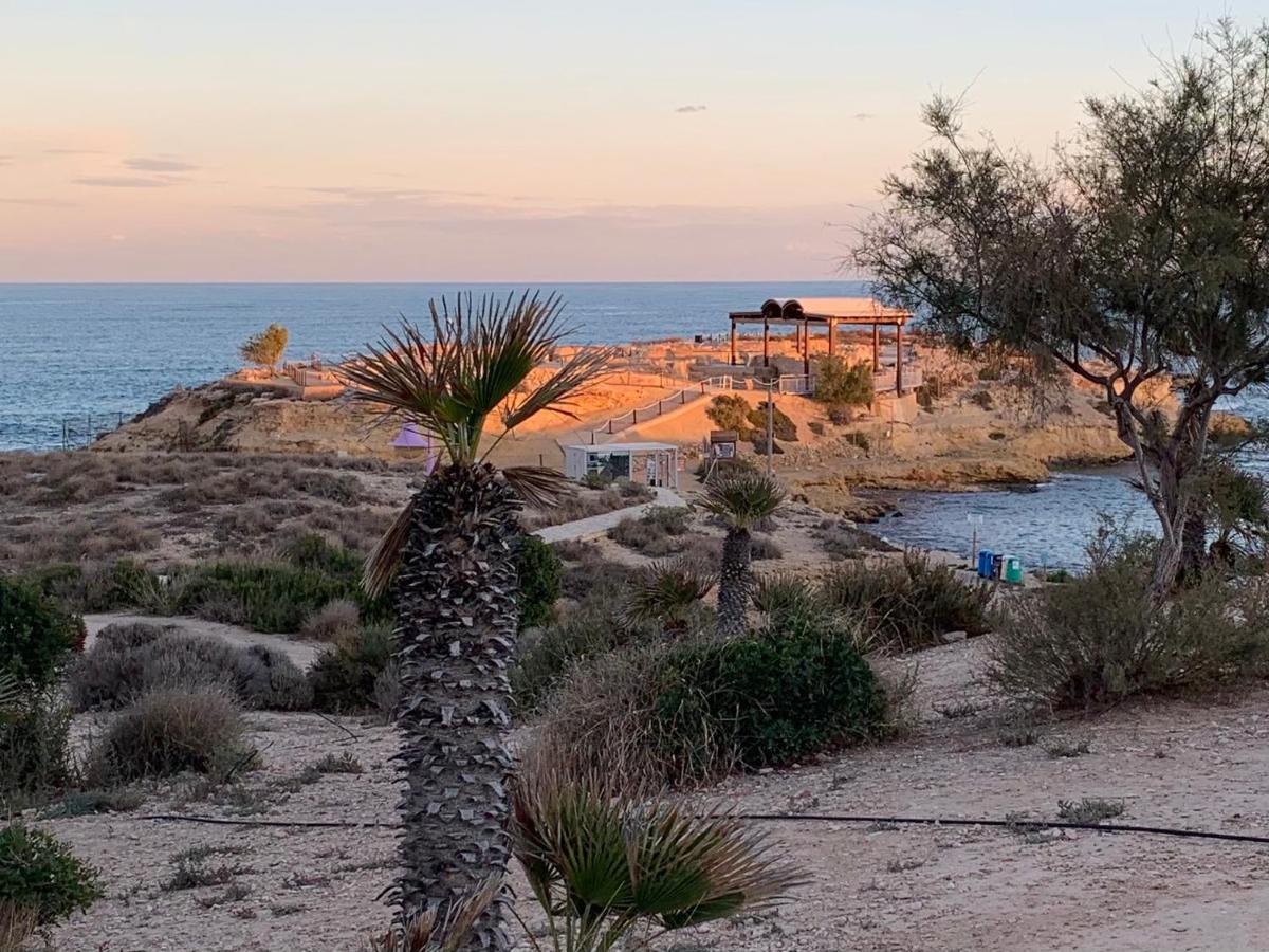 Cabo Mar Daire El Campello Dış mekan fotoğraf